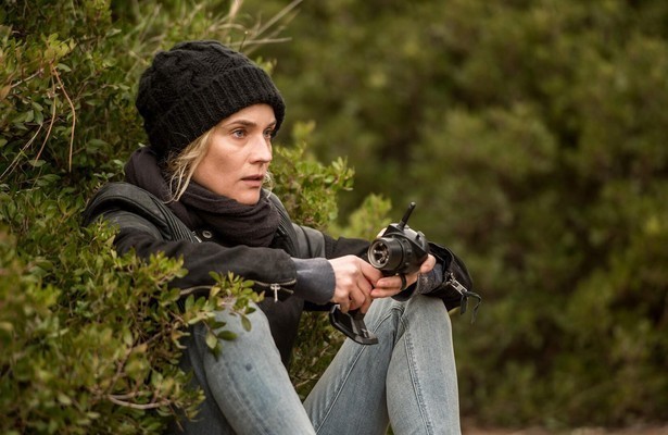 In the Fade