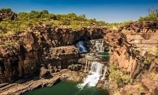 A wild year on earth