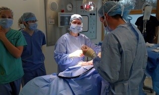 Animal ER