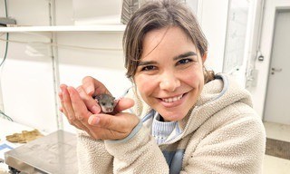 Anna und die wilden Tiere