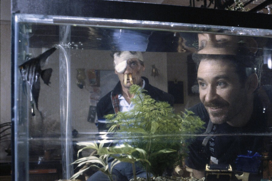 A Fish Called Wanda