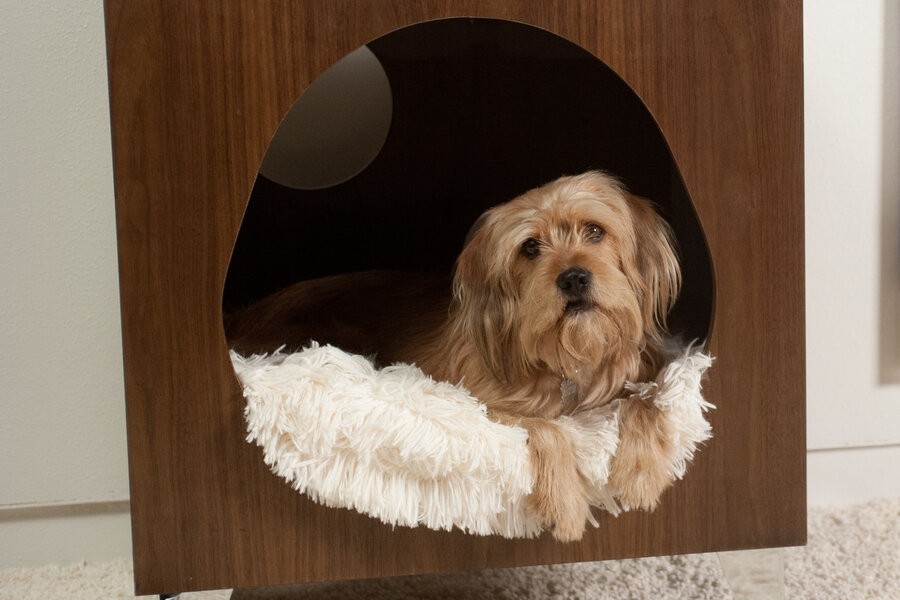 Anchorman 2: The Legend Continues