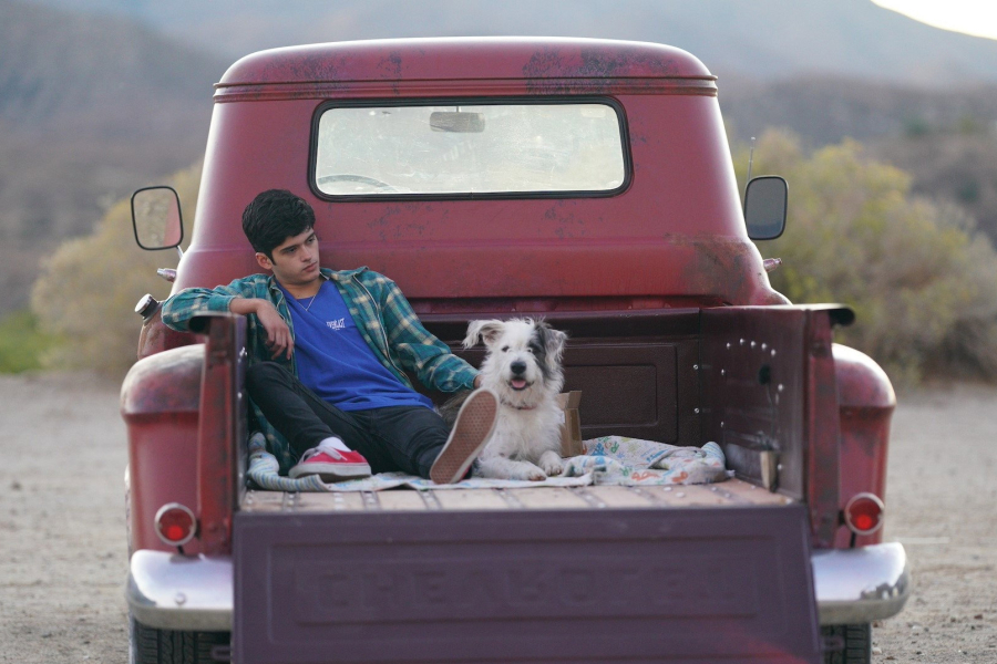 Aristotle And Dante Discover The Secrets Of The Universe