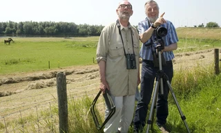 Baardmannetjes