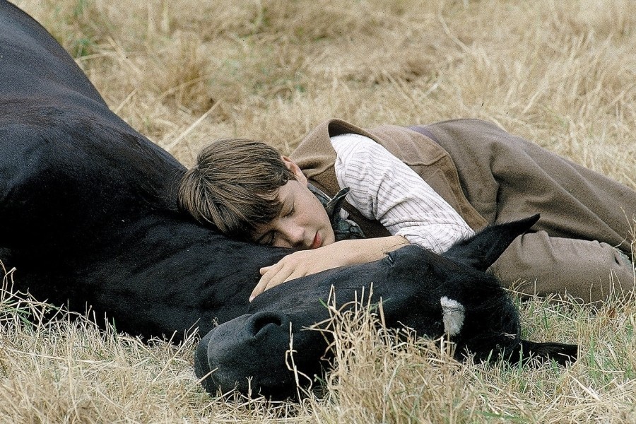 Black Beauty