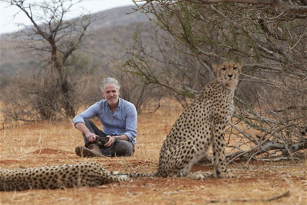 De strijd van de cheeta