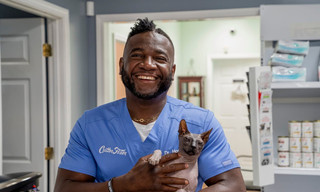 Critter fixers: country vets