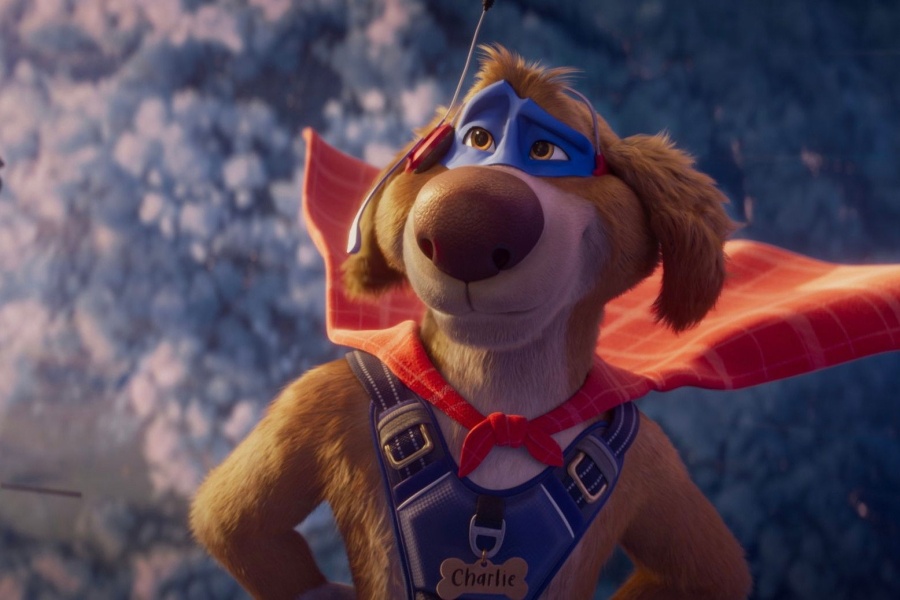 Charlie the Wonderdog