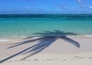 Colors: Capturing America and the Caribbean