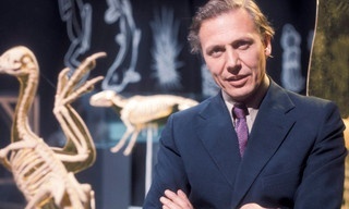 David Attenborough's 100 years on planet earth