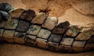 De Kimberley: Het Wilde Westen van Australië