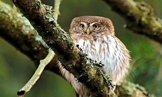 Die Rhön - Naturschönheiten im Land der offenen Fernen