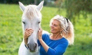 Die Tierärzte - Retter mit Herz