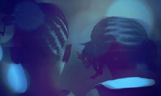 Disappeared: The Bradley Sisters