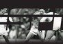 ESPN doc