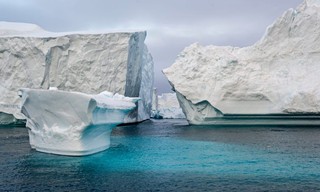 Frozen planet II