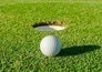 Golf: Ladies European Tour