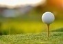 Golf: Regions Tradition (hoogtepunten)