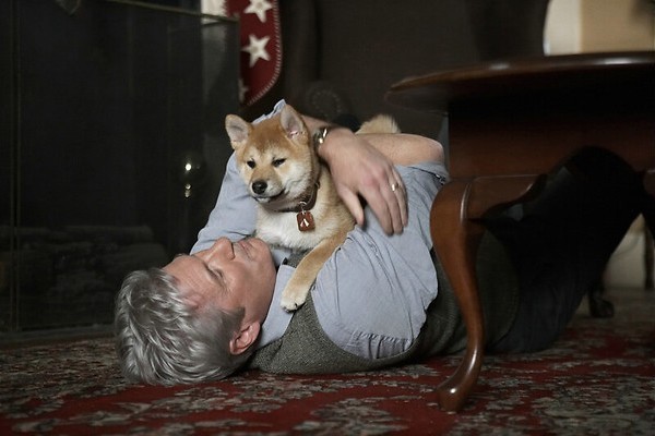 Hondstrouw aan Richard Gere