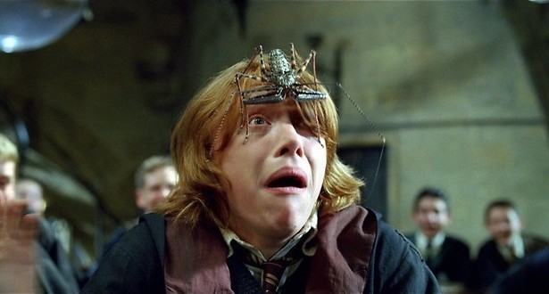 Daniel Radcliffe en de vuurbeker