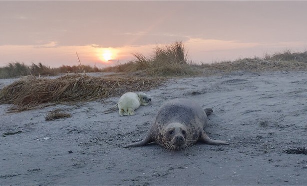 Klaar voor de winter