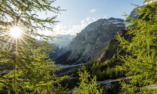 Heimat Natur