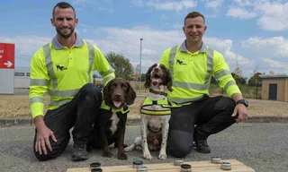 Honden met een bijzondere baan