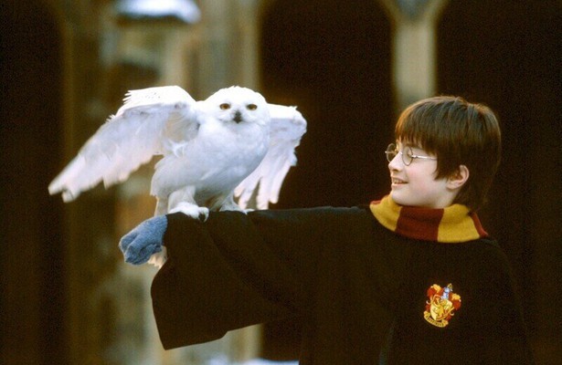 Harry Potter and the Philosopher's Stone