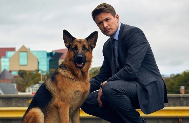 John Reardon in Hudson & Rex