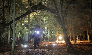 In Search Of Monsters