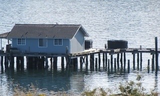 Island life