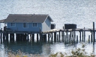 Island life
