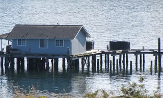 Island life