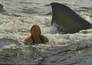 Jaws 2