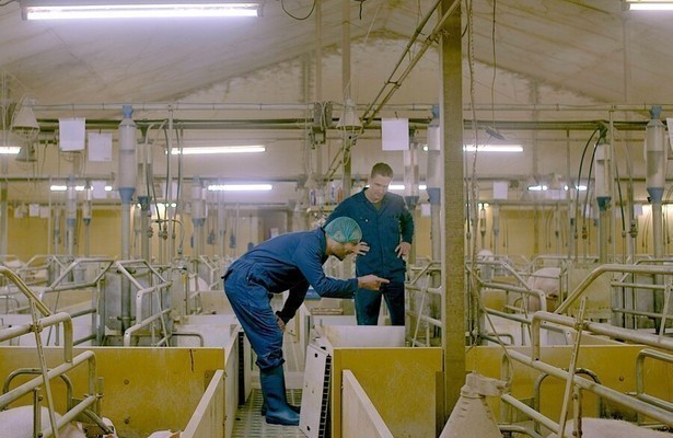 Keuringsdienst van Waarde