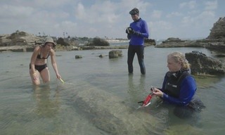 Lost treasures of the Bible