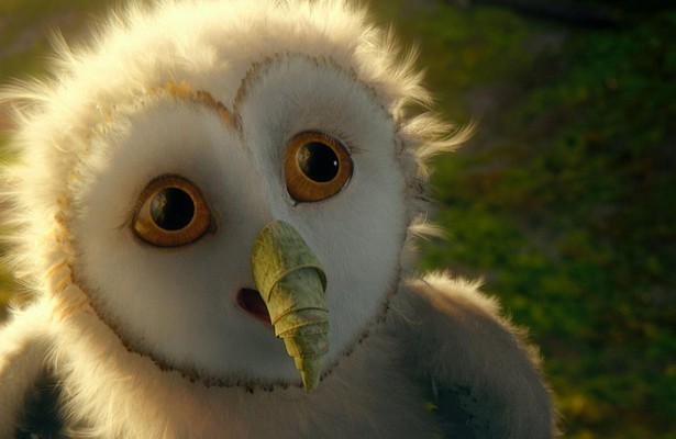 Still uit Legend of the Guardians: The Owls of Ga'Hoole