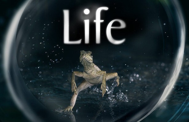 Life