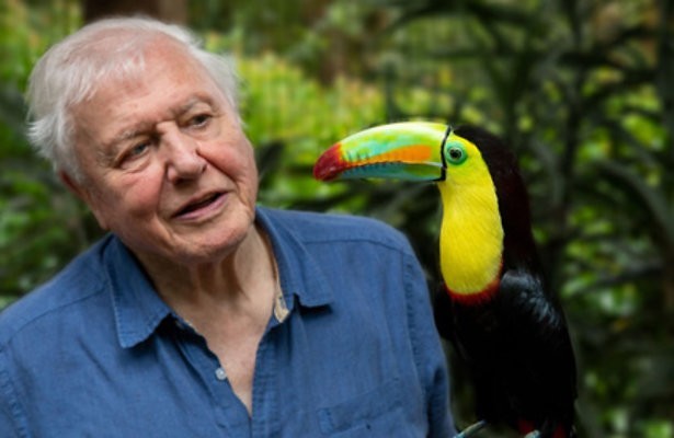 Nieuw op Netflix: Life in colour with David Attenborough