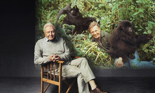 Making life on earth: Attenborough's greatest adventure