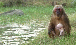Mysteries Of the Mekong