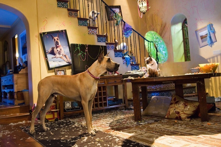 Marmaduke
