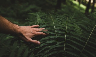 Naked and afraid