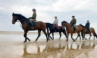 Nordseereport