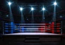 British Wrestling Revolution