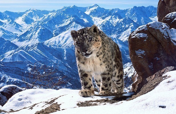 Natuur op 2: Planet earth