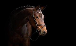 Paardensport: Global Champions Tour in Madrid