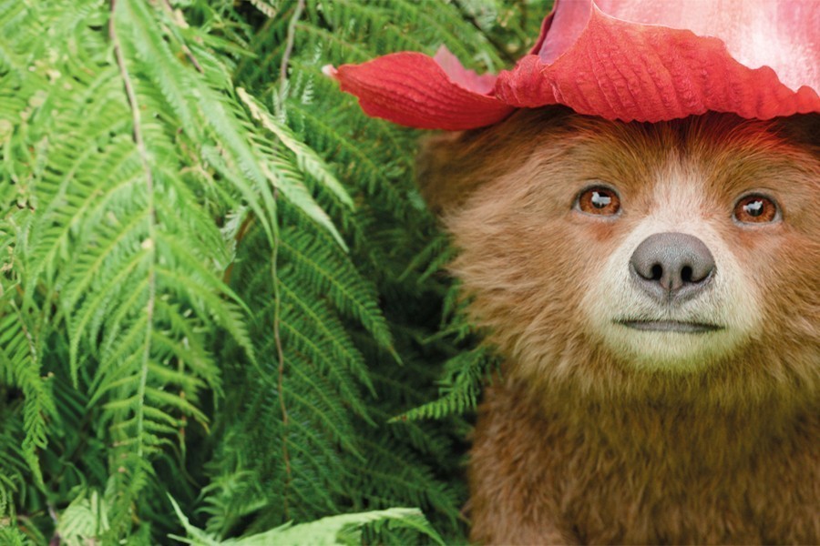 Paddington in Peru