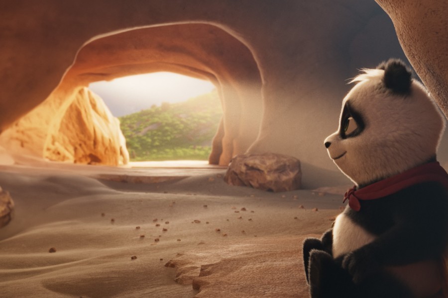 Pandabeer in Afrika