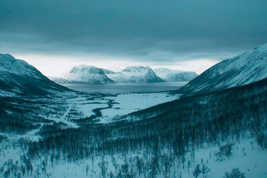 PL Stories: Norwegian Strikers